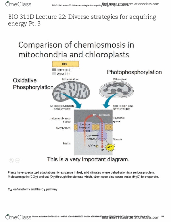 BIO 311D Lecture 22: Diverse strategies for acquiring energy Pt 3 thumbnail
