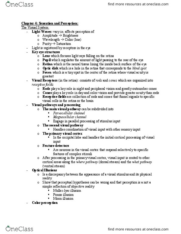 PSY100Y5 Chapter Notes - Chapter 4: Visual Cortex, Visual Acuity, Moon Illusion thumbnail