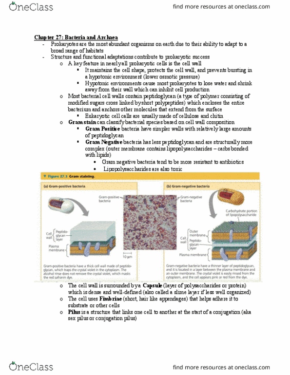 BIO152H5 Chapter Notes - Chapter 27: Gram Staining, Gram-Negative Bacteria, Lipopolysaccharide thumbnail