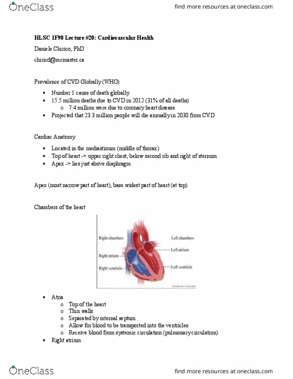HLSC 1F90 Lecture Notes - Lecture 20: Circumflex Branch Of Left Coronary Artery, Left Coronary Artery, Coronary Artery Disease thumbnail