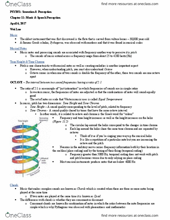 PSYB51H3 Chapter Notes - Chapter 11: Vocal Tract, Vocal Folds, Speech Perception thumbnail