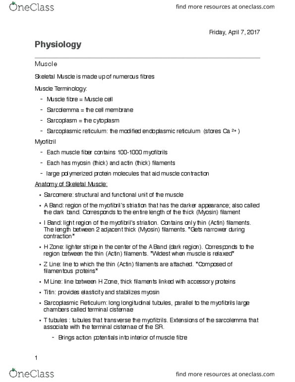 HLSC 2P09 Lecture Notes - Lecture 10: Endoplasmic Reticulum, Calcium Atpase, Neuromuscular Junction thumbnail