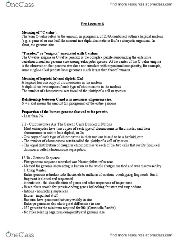 Biology 1001A Lecture Notes - Lecture 6: Genome Size, Somatic Cell, Chromosome thumbnail