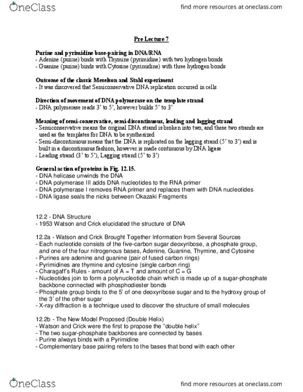 Biology 1001A Lecture Notes - Lecture 7: Dna Ligase, The Double Helix, Helicase thumbnail