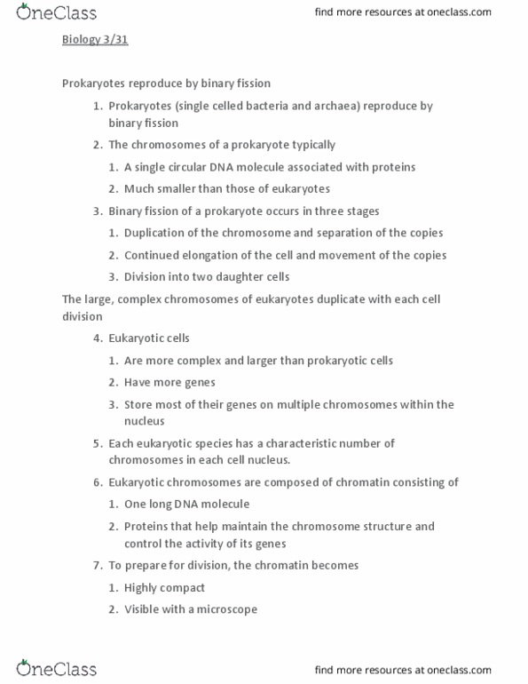 BIOL 1012 Lecture Notes - Lecture 28: Spindle Apparatus, Sister Chromatids, Cell Nucleus thumbnail