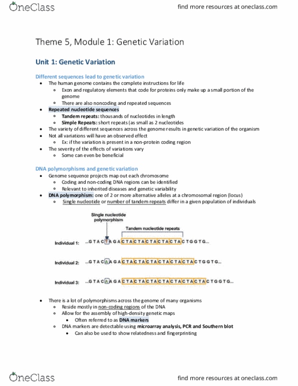 BIOLOGY 1A03 Chapter Notes - Chapter 5.1: Aria, Autosome, Phenotype thumbnail