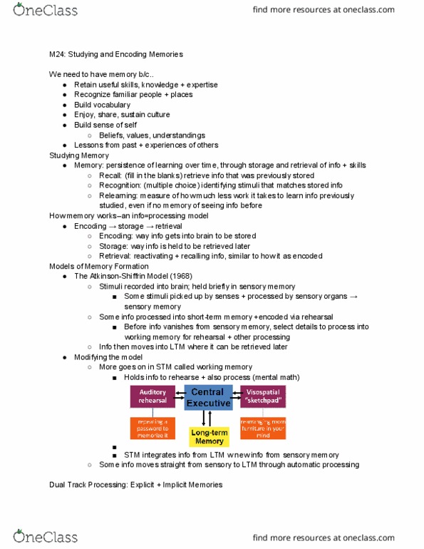 PSYCH 10 Lecture Notes - Lecture 11: Cerebellum, Thalamus, Basal Ganglia thumbnail