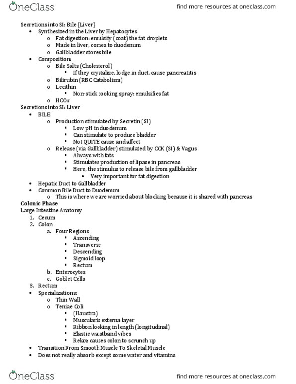 PNB 2265 Lecture Notes - Lecture 27: Renal Vein, Peritubular Capillaries, Renal Function thumbnail