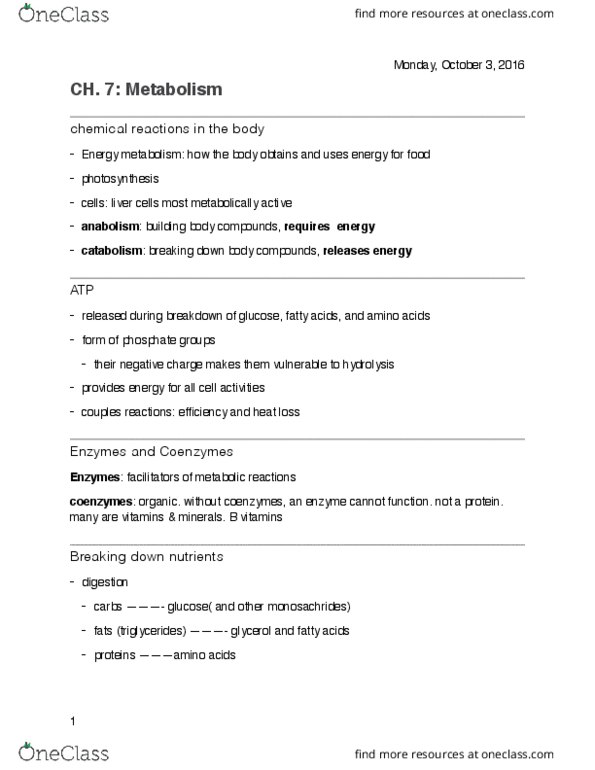 NUTR 2105 Lecture Notes - Lecture 7: Glycogen, Oxaloacetic Acid, Ketosis thumbnail