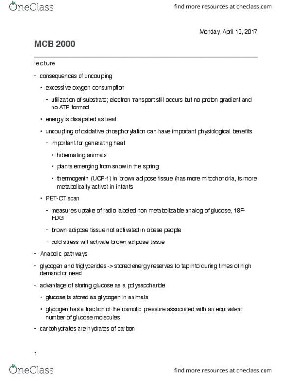 MCB 2000 Lecture Notes - Lecture 24: Pyrophosphate, Starch, Glycogen Synthase thumbnail