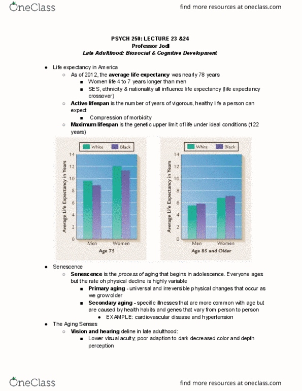 document preview image