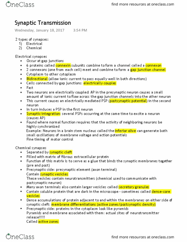 PSYC 355 Chapter Notes - Chapter 5: Inhibitory Postsynaptic Potential, Postsynaptic Density, Neuromuscular Junction thumbnail