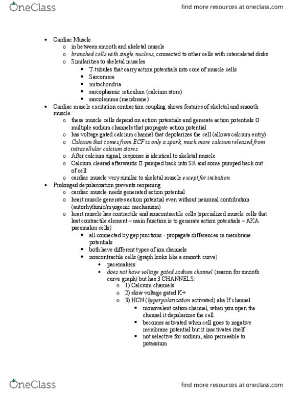 BIPN 100 Lecture Notes - Lecture 13: Cyclic Adenosine Monophosphate, Purkinje Fibers, Pharmacokinetics thumbnail