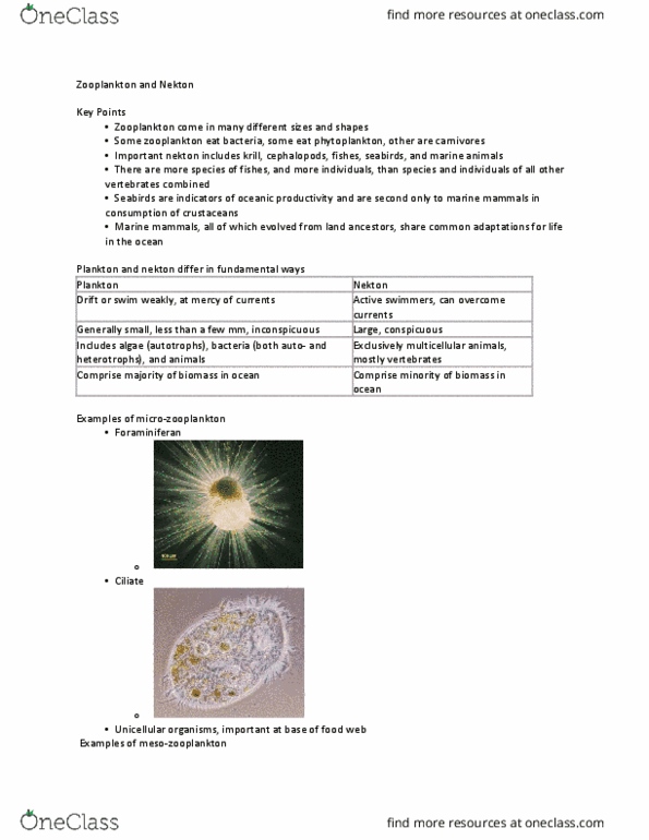 01:460:120 Lecture 19: Lecture 19 - Zooplankton and Nekton thumbnail