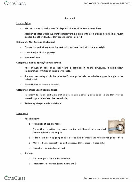 KINESIOL 4KK3 Lecture Notes - Lecture 6: Radiculopathy, Too Short, List Of Flexors Of The Human Body thumbnail