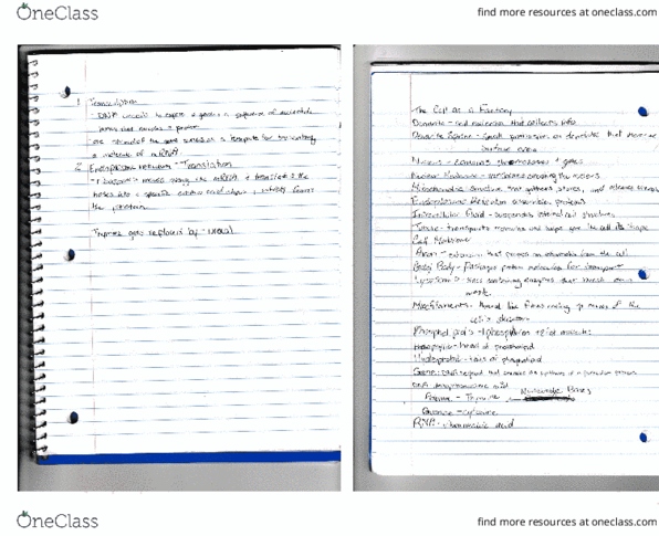 document preview image