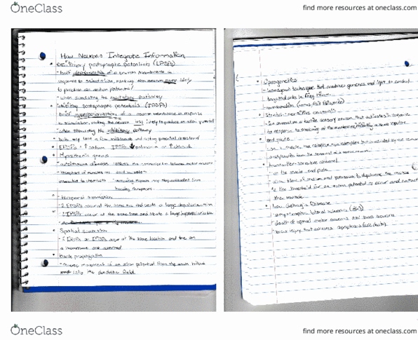 document preview image