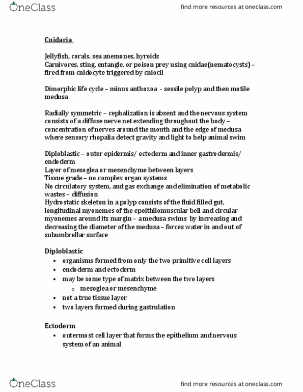 BIO 3334 Lecture Notes - Lecture 4: Retina, Chitin, Cephalization thumbnail