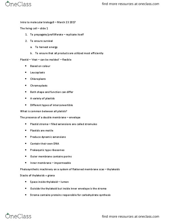 BIOL 1090 Lecture Notes - Lecture 10: Chlorophyll, Main Source, Cytosol thumbnail