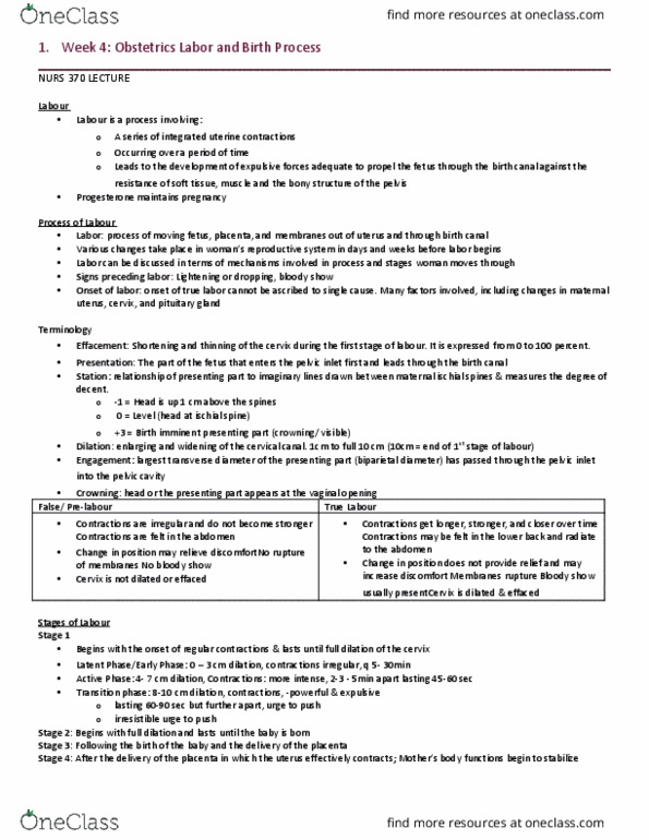 NURS 370 Lecture Notes - Lecture 7: Fetus, Ischial Spine, Pelvic Inlet thumbnail