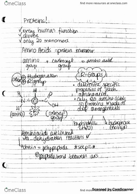 BIOL 150B Lecture 4: Unit 3.5: Proteins thumbnail