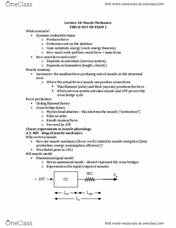KNES 300 Lecture Notes - Lecture 18: Structural Level, Electron Microscope, Kinematics thumbnail