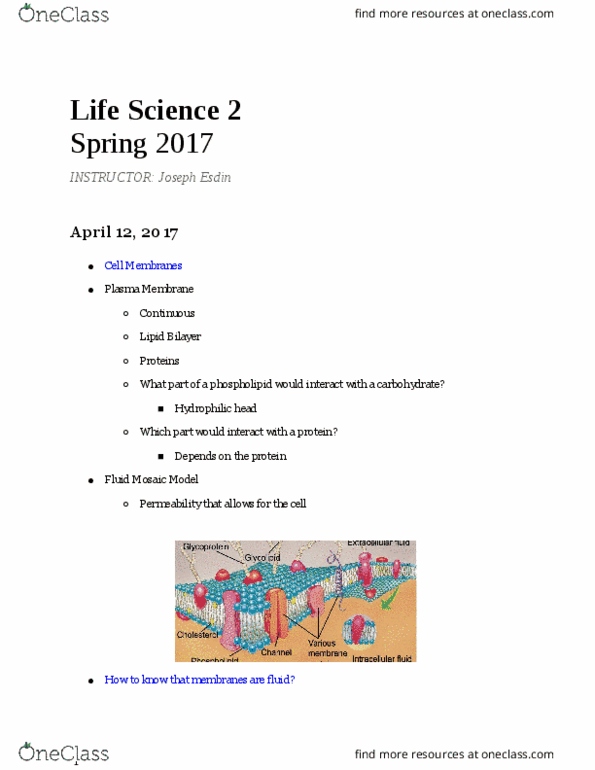 LIFESCI 2 Lecture Notes - Lecture 5: Active Transport, Fluid Mosaic Model, Sodium-Potassium Alloy thumbnail