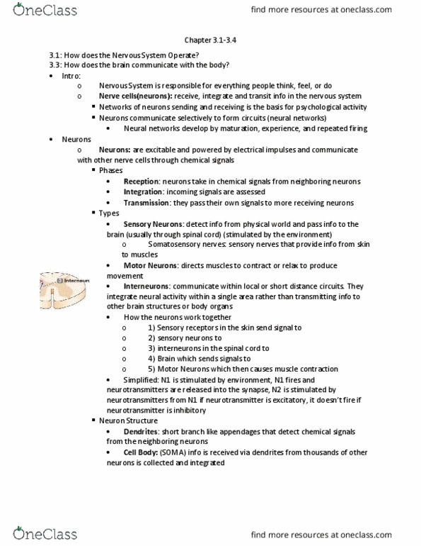 PSYC 1101 Lecture Notes - Lecture 1: Chemical Synapse, Motor Cortex, Scientific Method thumbnail