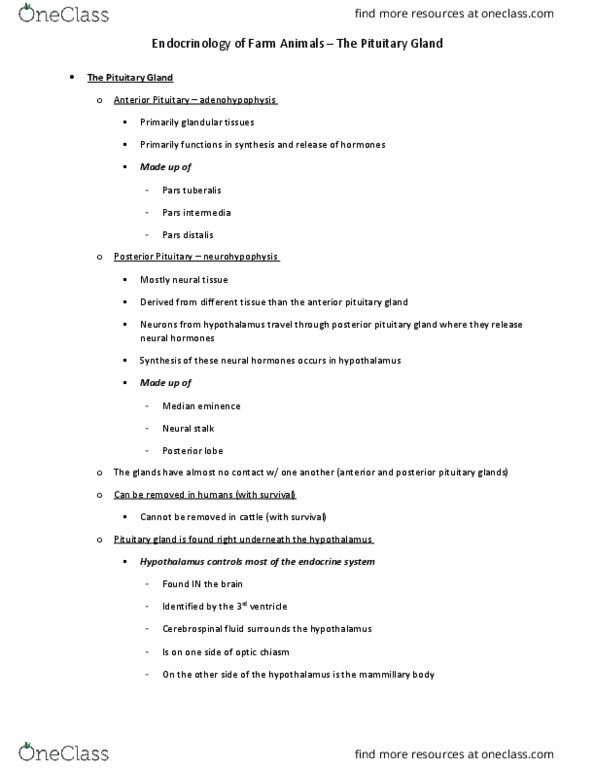 ANSC 3316 Lecture Notes - Lecture 3: Adrenergic Receptor, Cerebellum, Abbreviation thumbnail