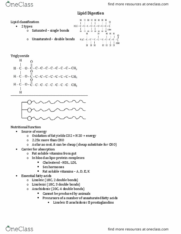 ANSI 3543 Lecture Notes - Lecture 18: Pylorus, Digestion, Rumen thumbnail