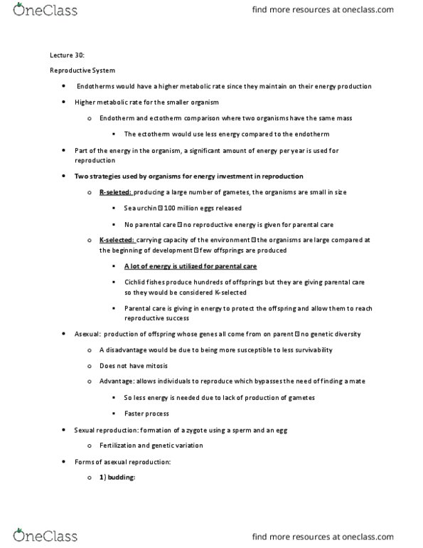 BIOL 3070 Lecture Notes - Lecture 30: Reproductive System, Cichlid, Mitosis thumbnail