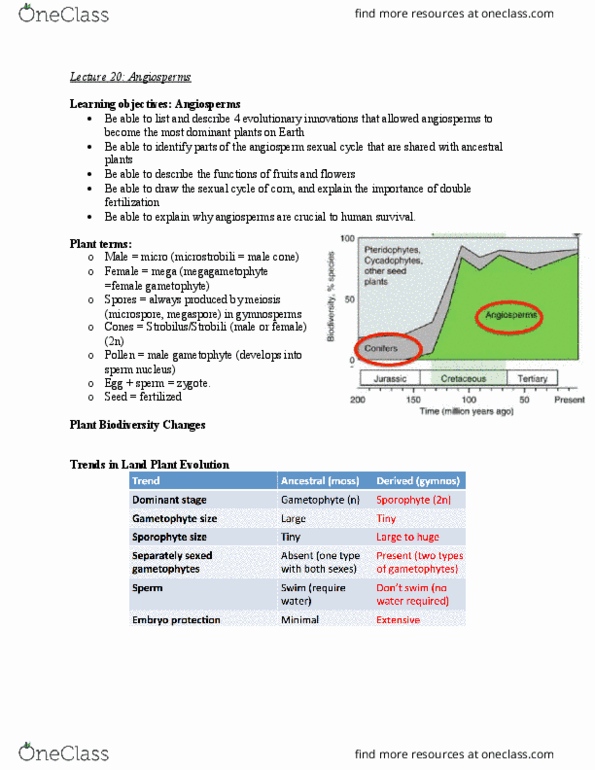 BIO 201 Lecture Notes - Lecture 20: Meiosis, Megaspore, Double Fertilization thumbnail