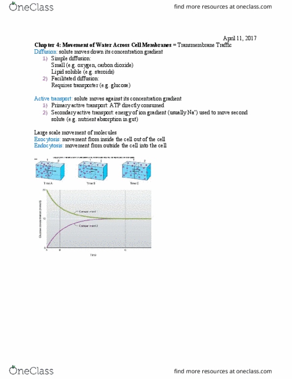 BENG 140B Lecture Notes - Lecture 3: Exocytosis, Protein Structure Prediction, Membrane Potential thumbnail
