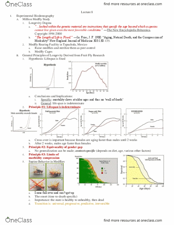 HDE 117 Lecture Notes - Lecture 8: Infertility, Odds Ratio, Menopause thumbnail