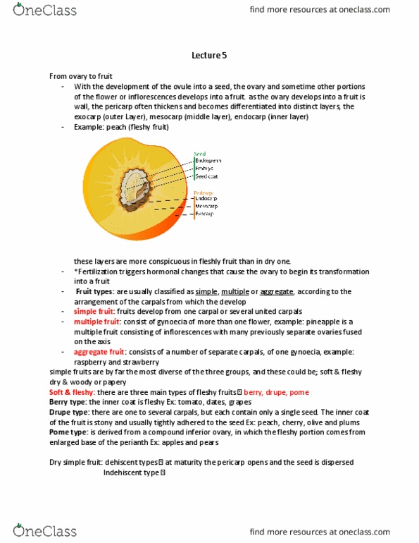 BIOL-1507EL Lecture Notes - Lecture 5: Carpal Bones, Pineapple, Genetic Recombination thumbnail