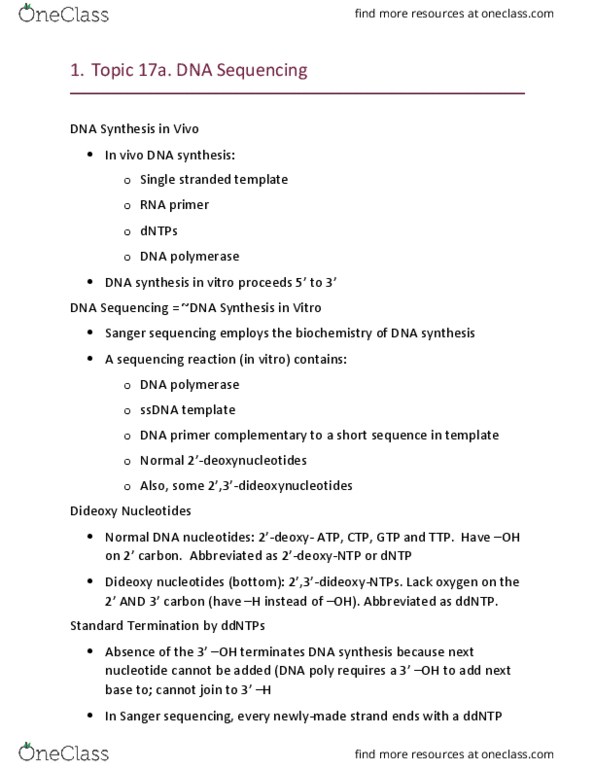 BSC 315 Lecture Notes - Lecture 25: Reading Frame, Nucleic Acid Hybridization, The Terminal thumbnail