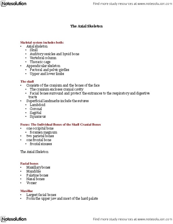 BIOB32H3 Lecture Notes - Xiphoid Process, Frontal Bone, Cranial Cavity thumbnail