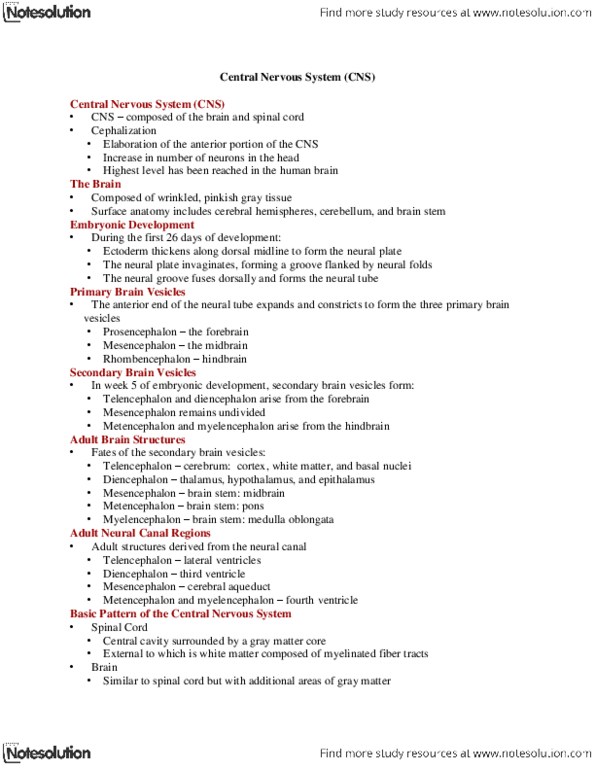 BIOB32H3 Lecture Notes - Medial Longitudinal Fissure, Neural Groove, Coccyx thumbnail