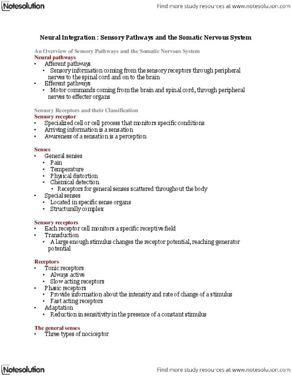 BIOB32H3 Lecture Notes - Medial Lemniscus, Carotid Body, Nociceptor thumbnail