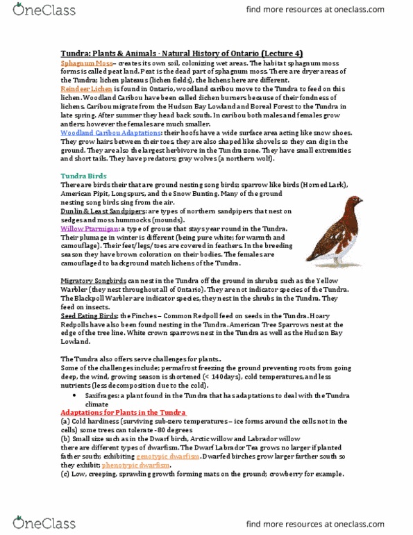 BIOL 2903 Lecture Notes - Lecture 4: Buff-Bellied Pipit, Herbivore, Common Redpoll thumbnail
