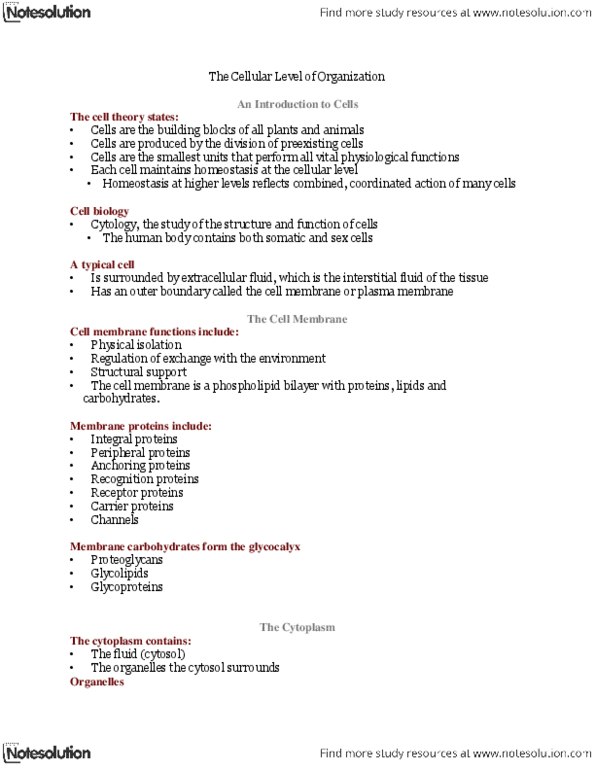 BIOB32H3 Lecture Notes - Resting Potential, Ubiquitin, Meiosis thumbnail