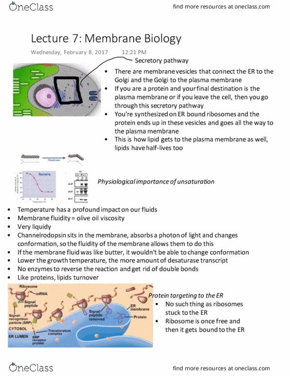 Biology 1002B Lecture Notes - Lecture 7: Ribosome, Cell Membrane, Cystic Fibrosis thumbnail
