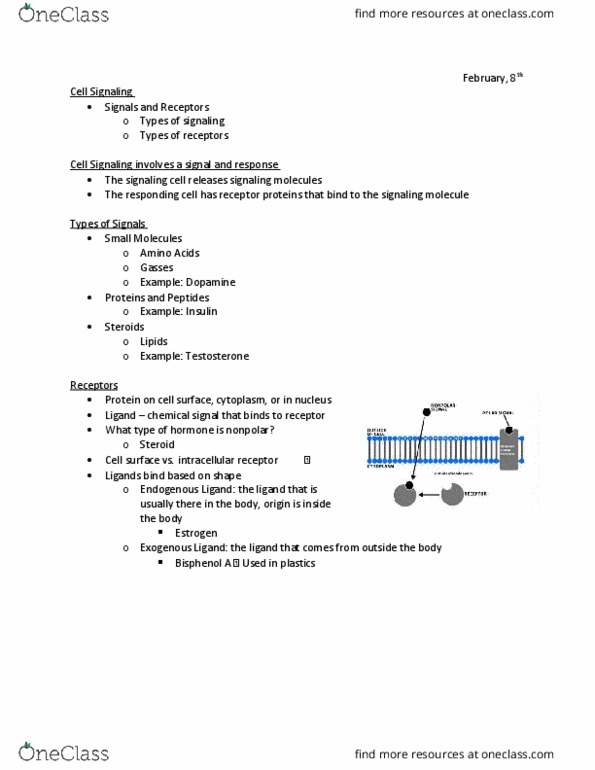 BIO 152 Lecture Notes - Lecture 10: Intracellular Receptor, Bisphenol A, Cell Membrane thumbnail