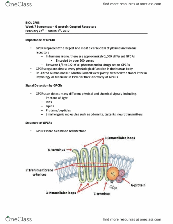 BIOL 2P03 Lecture Notes - Lecture 7: Guanine Nucleotide Exchange Factor, Bacterial Effector Protein, G Protein–Coupled Receptor thumbnail