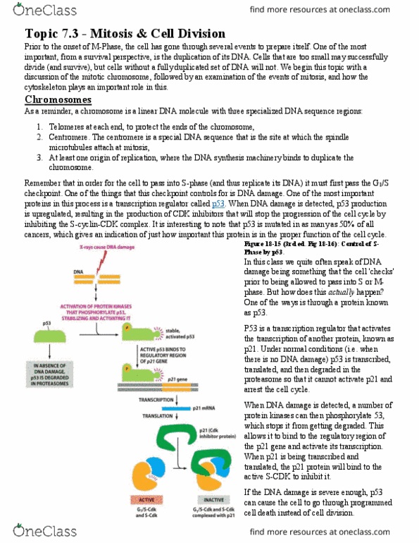 BIOL 200 Chapter Notes - Chapter 7: Spindle Apparatus, Histone H1, Sister Chromatids thumbnail
