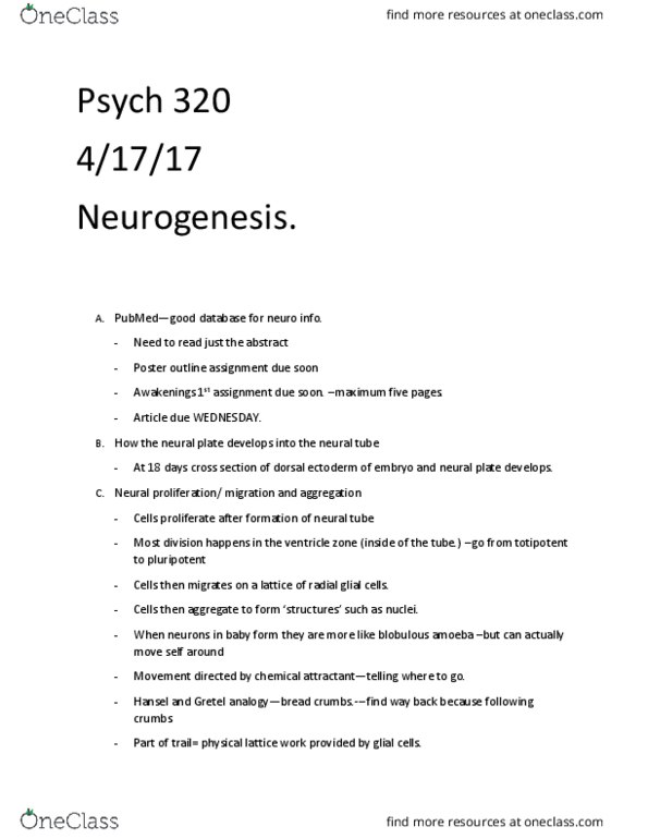 PSY 320 Lecture Notes - Lecture 6: Cell Adhesion Molecule, Radial Glial Cell, Neuroglia thumbnail