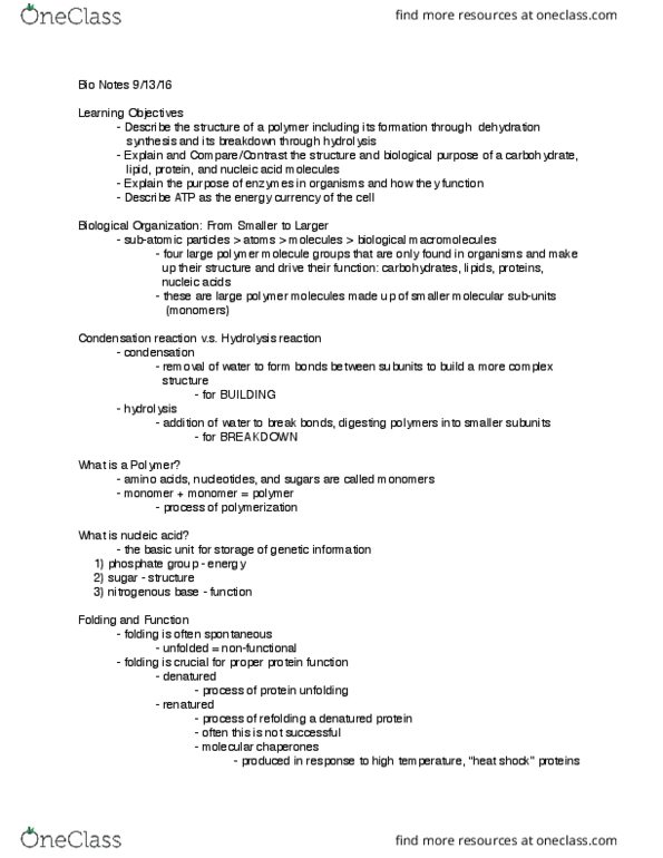 BIOL 1150 Lecture Notes - Lecture 7: Dehydration Reaction, Condensation Reaction, Hydrolysis thumbnail