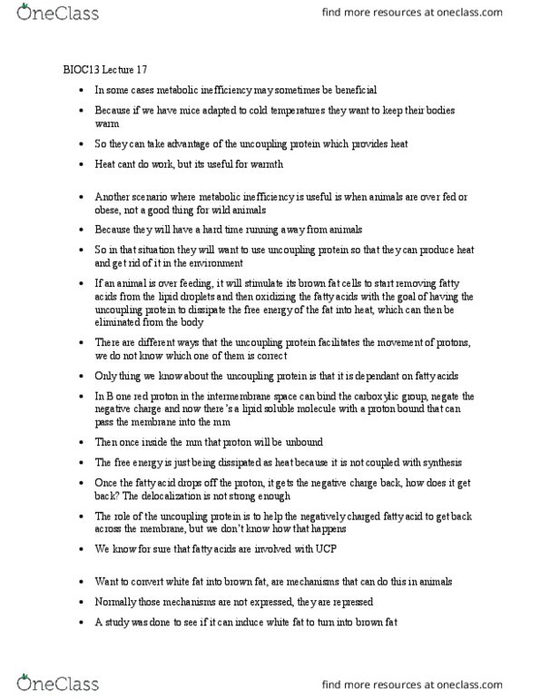 BIOC13H3 Lecture Notes - Lecture 17: Uncoupling Protein, Brown Adipose Tissue, Lipid Droplet thumbnail