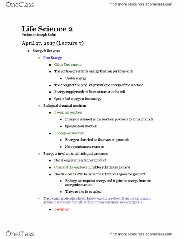 LIFESCI 2 Lecture Notes - Lecture 7: Exergonic Reaction, Endergonic Reaction, Atp Hydrolysis thumbnail