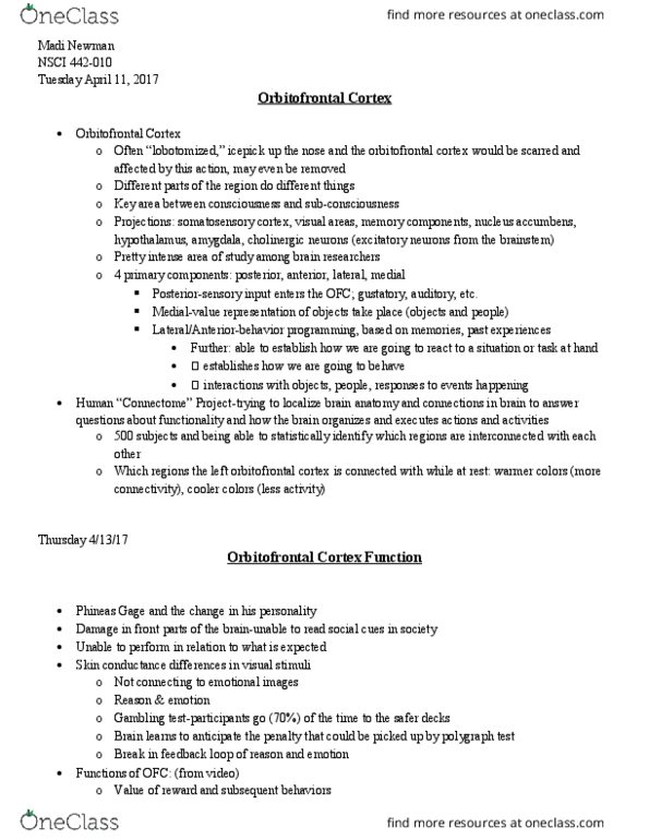 NSCI442 Lecture Notes - Lecture 13: Orbitofrontal Cortex, Phineas Gage, Nucleus Accumbens thumbnail